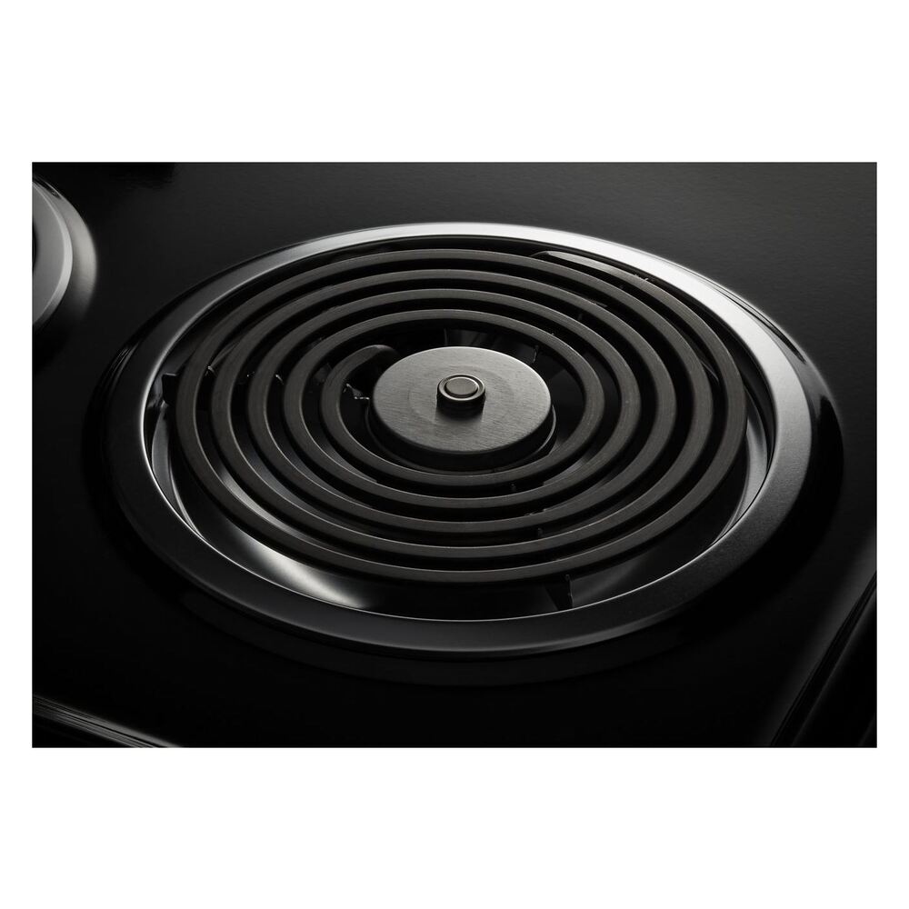 Amana 30-inch Amana® Electric Range with Bake Assist Temps