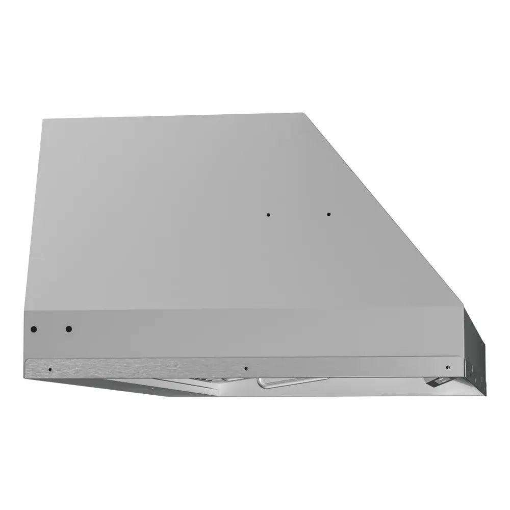 Zephyr Monsoon Connect, 42in, SS, LED, ACT