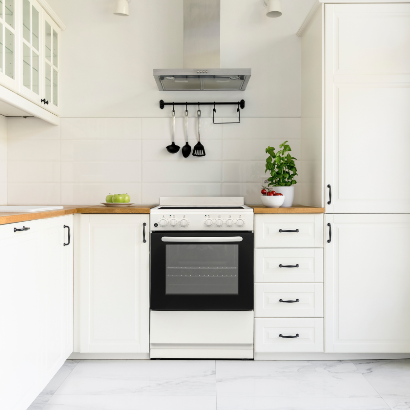 Element Element Electronics 24" Electric Range (EER244MSCW)