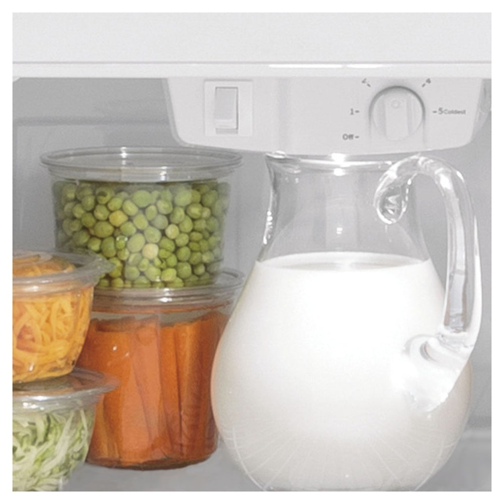 GE GE® 21.9 Cu. Ft. Garage Ready Top-Freezer Refrigerator