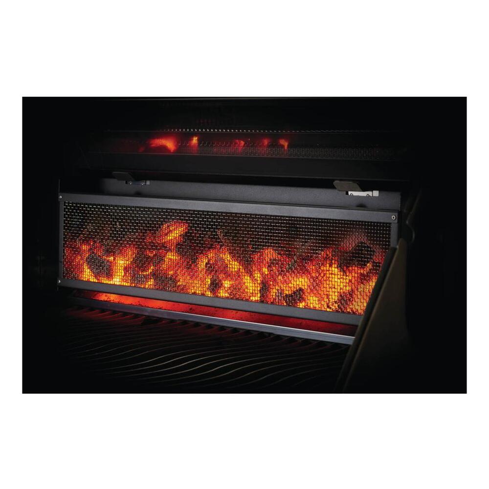 Napoleon Professional 605 Charcoal Cart Full Size Cart Grill , Charcoal, Stainless Steel